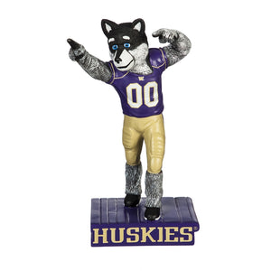 University of Washington Huskies, Mascot Statue - MamySports