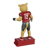 Washington State University, Mascot Statue, Cougars - MamySports